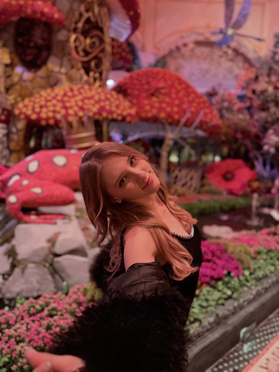 Melodymarkjss5's tweet photo. Lost somewhere between a fairytale and reality ✨🍄🌸

#FairytaleVibes #Enchanted #DreamyAesthetic https://t.co/8sPeKqzsLe