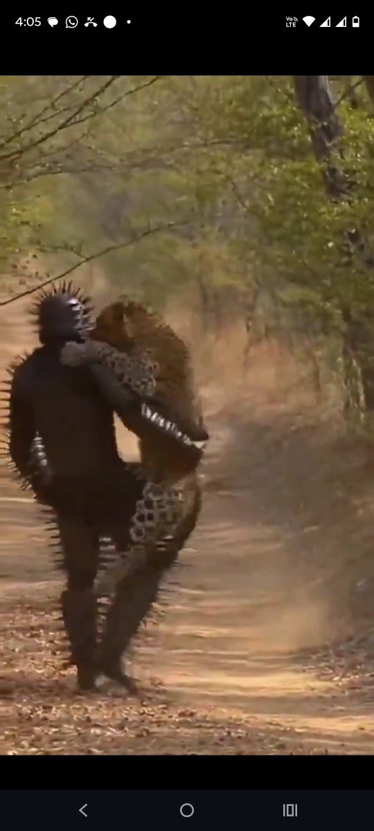 NagFan7's tweet photo. @Digital_n11 😬 https://t.co/HvWKCbqEBj