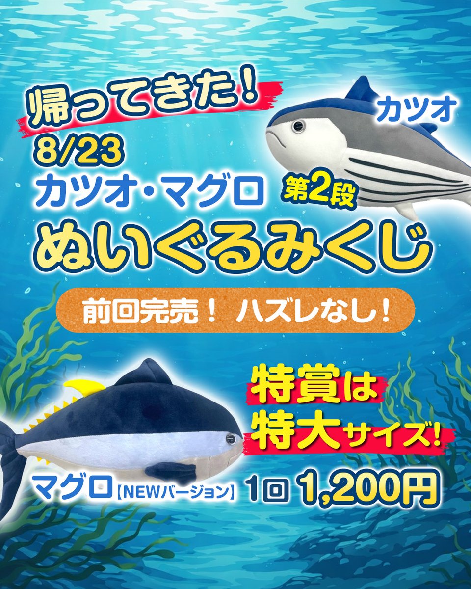 aquariumbus's tweet photo. 8/23（日）アクアリウムバス開催
今回予定していた「ぬいぐるみくじ」ですが、ツノガエルの生産が間に合わず、9/20開催へ延期となりました😭

楽しみにしてくださっていた皆さま、申し訳ございません。

その代わり今回はカツオ＆マグロのぬいぐるみくじ（第二弾）を開催

マグロはNEWバージョンです https://t.co/4deeQs5lQg