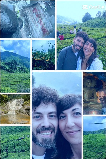 elaisa_iak's tweet photo. ညီကိုနှစ်ယောက် အဆက်လေးပါ #creatorsearchinsights #aivideosstories #tiktokmyanmar #foryou #မောင်ပန်းသီး🍎 https://t.co/e8m48g9Qlf