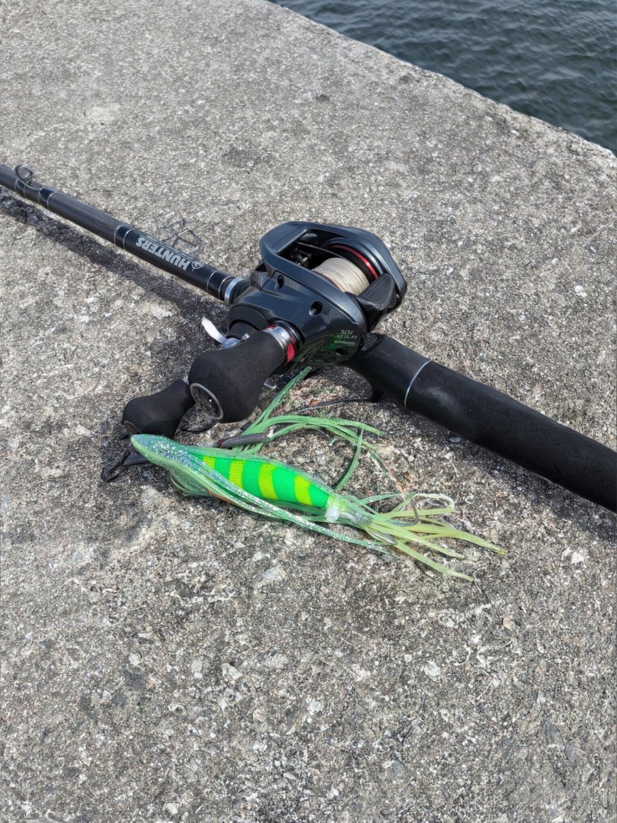 albatron5513's tweet photo. 大阪のタコ釣りは他県で通用するのか…？！

＼果たしてどうなってしまうのかぁー！／

結果：おったでこのタコ🐙
大阪でガチに鍛え上げられたタコエギとタックル、他県のタコにも無双できる説！

…知らんけど🙄

#タコ釣り #オクトパッシング
#タコエギ https://t.co/a3V5xR2TOd