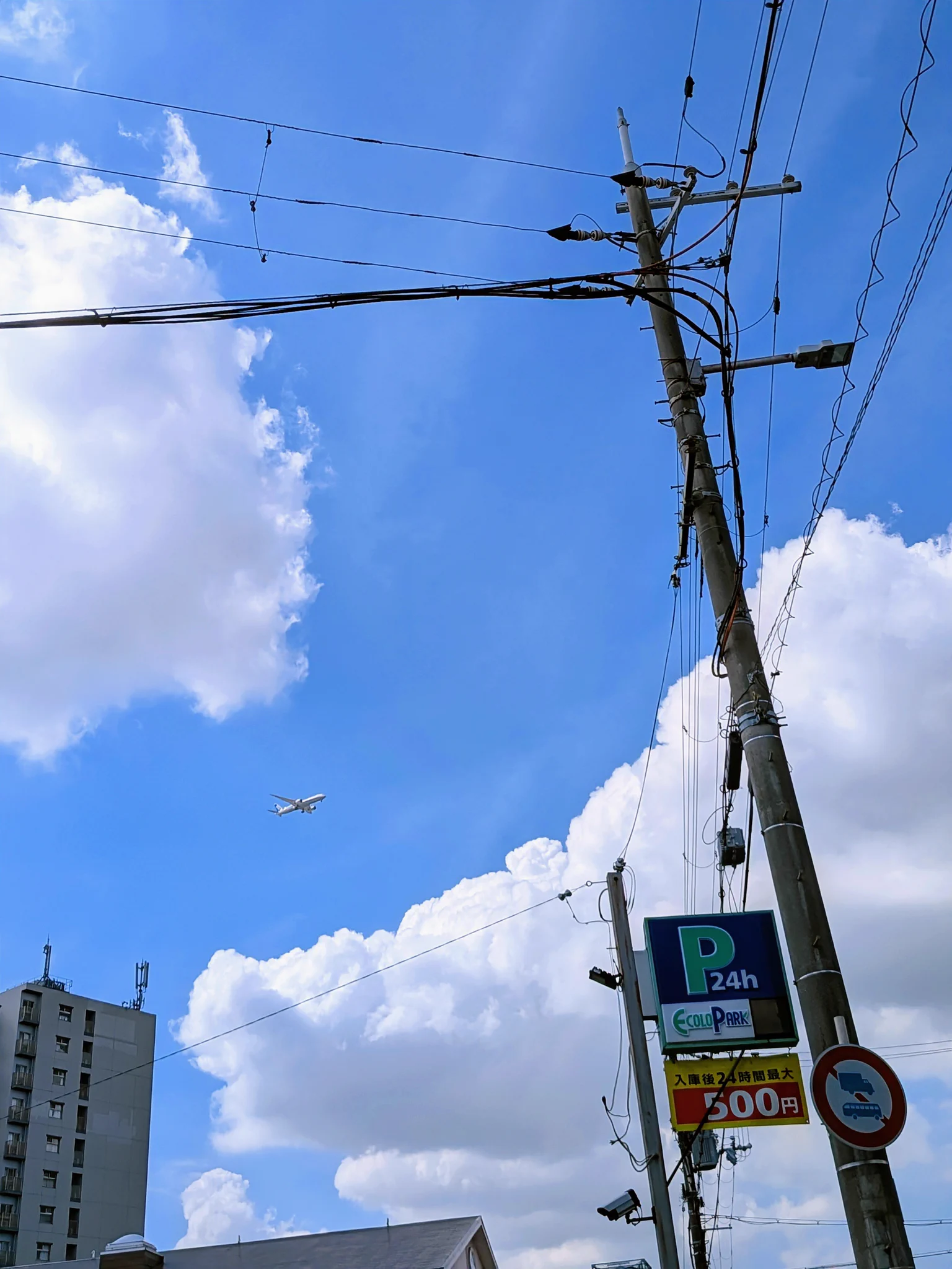 ちゃび on X: 