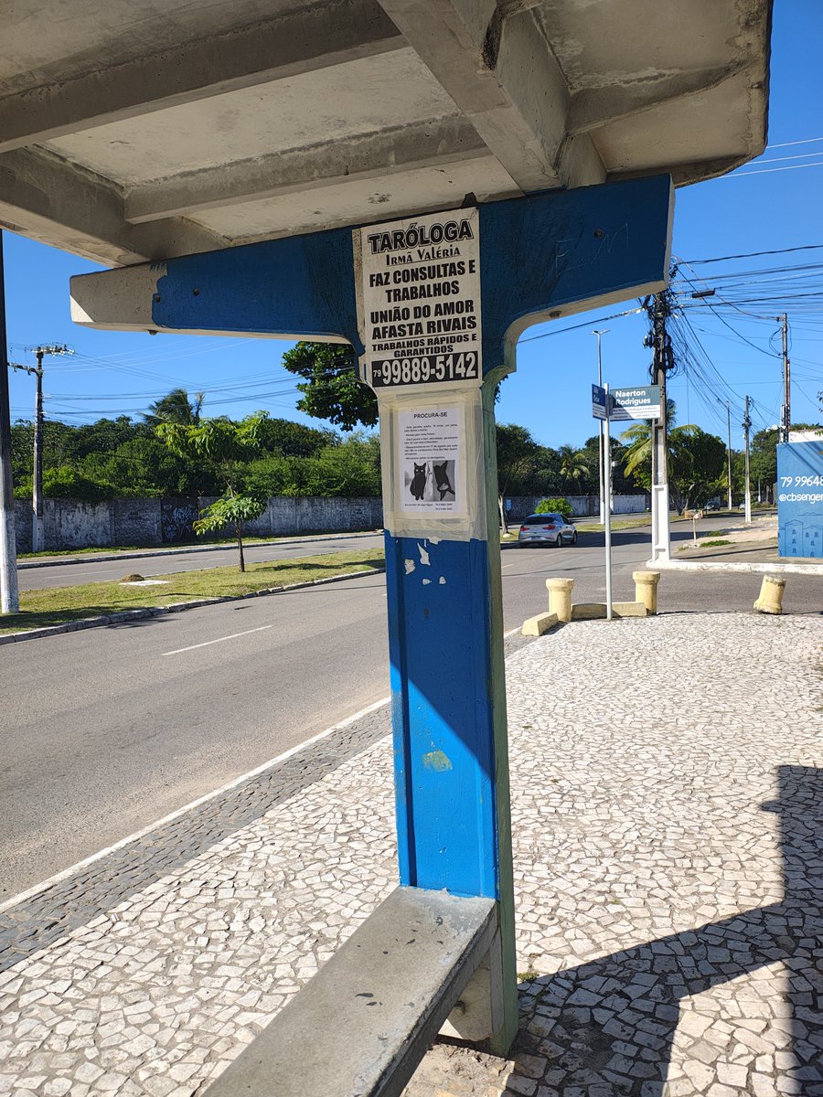 LilianNina11's tweet photo. Tem dois dias que eu to só em função de achar a minha gata, cartaz nas proximidades, mercadinho, padaria, açougue, lista de transmissão da feira, grupo do condomínio, tudo. Até agora nenhuma pista 😞 https://t.co/keI0aiyjO5