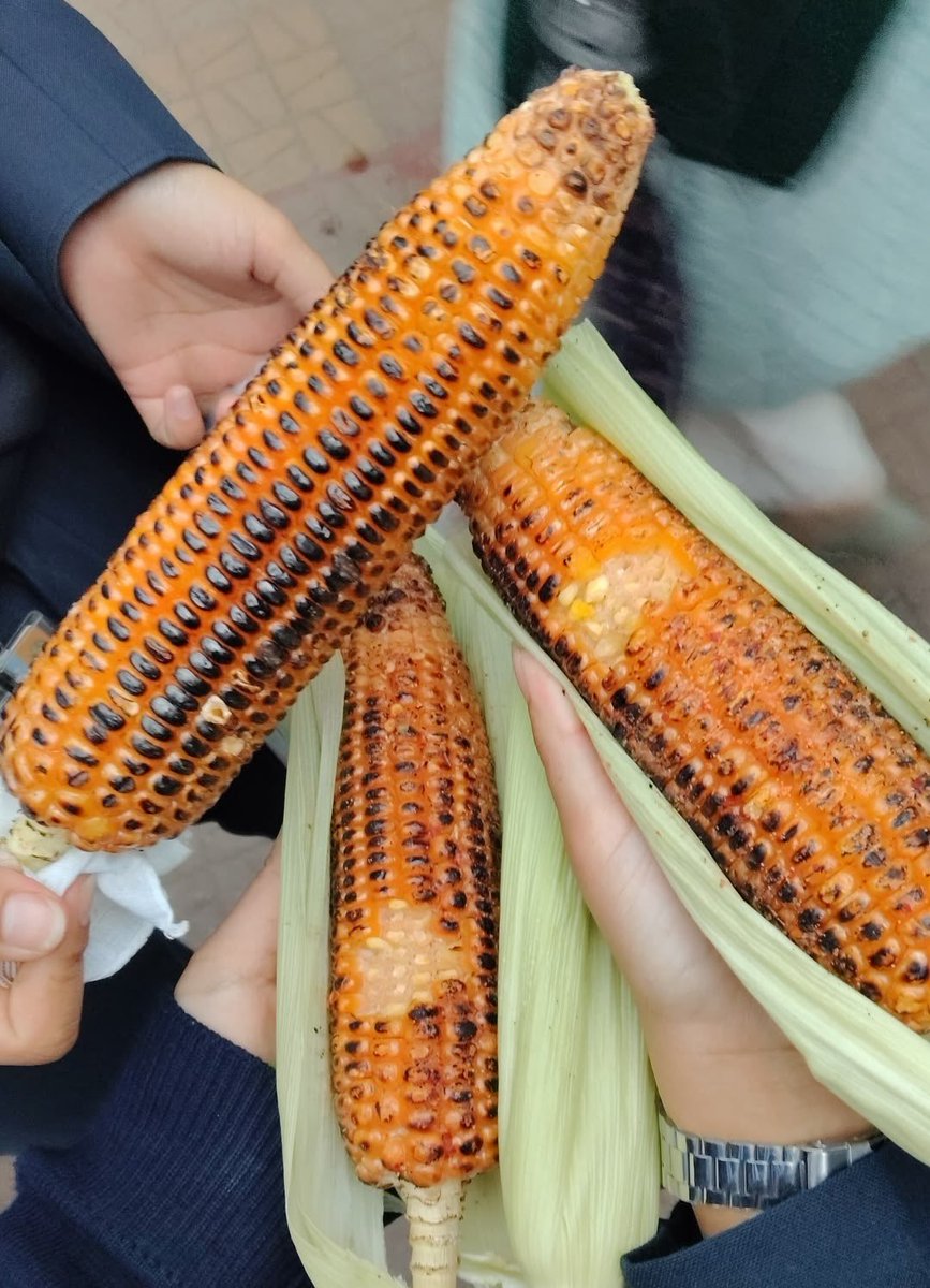 thehappykid_28's tweet photo. Steamed corn >>>>>> Roasted corn https://t.co/b3LKdspfzH