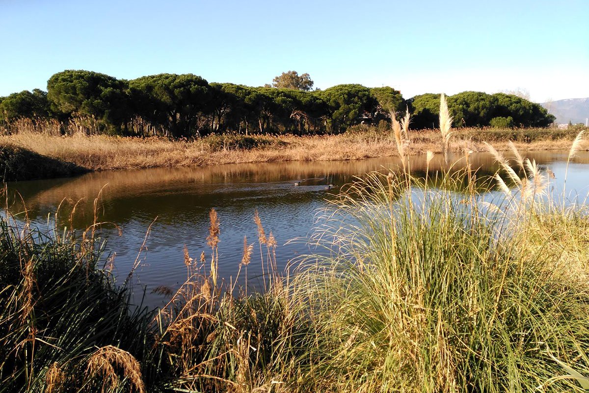 bcnmetropolitan's tweet photo. Have you been to Gavà Mar? 🌊 Located just south of Barcelona, this coastal gem is full of history, nature and local gastronomy. Whether you want to relax on Platja de Gavà or #hike Parc del #Garraf, this charming seaside town has it all. 🏖️

https://t.co/BrPQobEKIy https://t.co/nlaEg1h7Cv