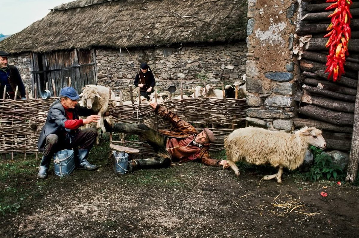 YugoslavVisuals's tweet photo. Steve McCurry's photographs from Yugoslavia, 1989. https://t.co/xEU1MZKJxK