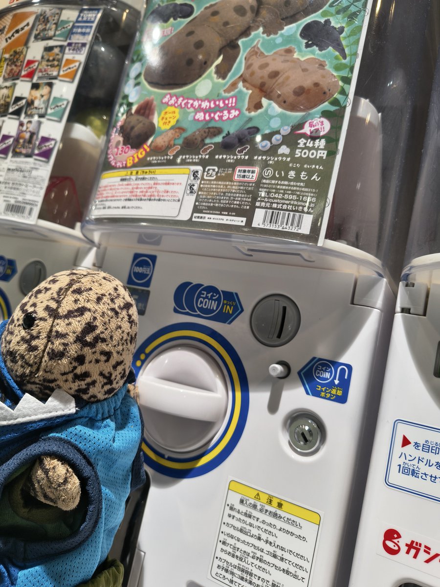 meguru_em's tweet photo. 早速、りょーちゃんが回してきました

#オオサンショウウオ https://t.co/fWJIdGRSpV