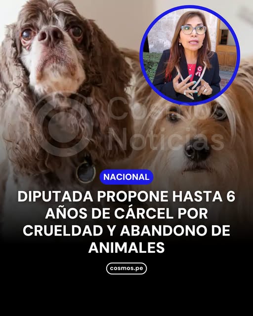 Ottaviani_Gatti's tweet photo. https://t.co/doLt80YeWv