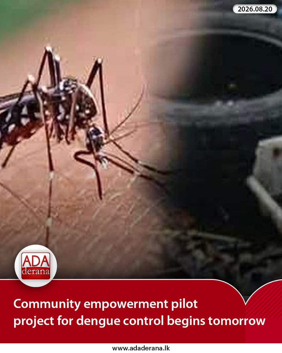 adaderana's tweet photo. Community empowerment pilot project for dengue control begins tomorrow
Read more: https://t.co/03QgSdhE2p
#lka #srilanka #adaderana #news #lanka #srilankanews #pilotproject #dengue #control #tomorrow https://t.co/OxMRE9TlYr