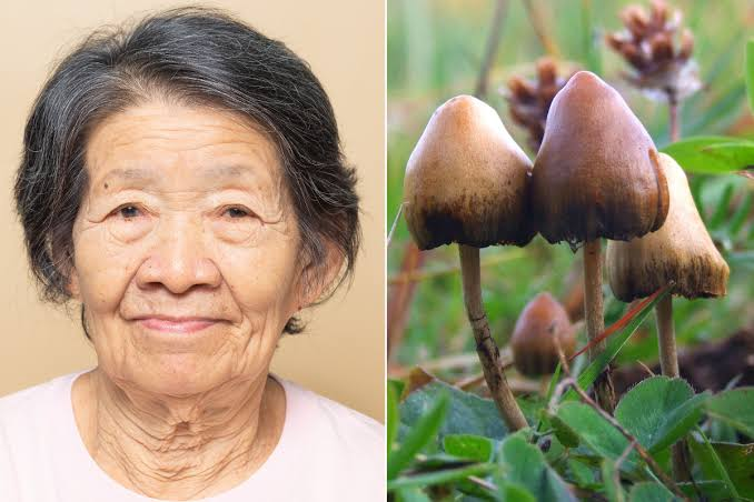 NightSkyToday's tweet photo. JUST IN🚨: A Women with late-Alzheimer's who hadn't spoken in 5 years, received psilocybin and started talking, recalling memories and making jokes, after 19 hours. https://t.co/ouBWtyqpec