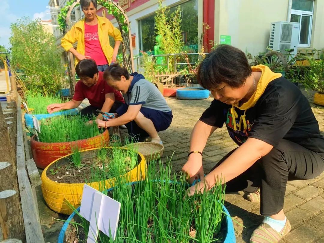 IRMAGRACIA7's tweet photo. Hey neighbors!  Join our community garden volunteer day this Saturday (9 AM-12 PM) at the central park plot. Bring gardening gloves, snacks provided. Let’s grow green together! https://t.co/vfSYVZRVfI