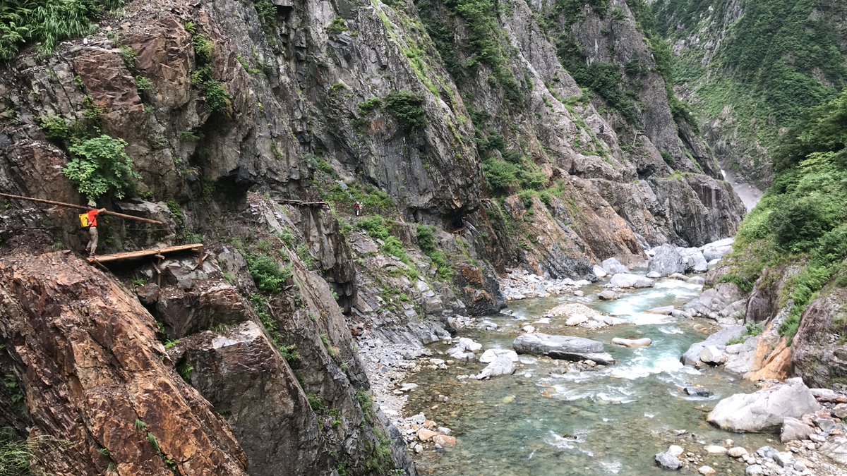 kengomoriyama's tweet photo. 今年も下ノ廊下の登山道整備の時期がやってきた。
お誘いの連絡を頂いたが、救助の引退に合わせて、下ノ廊下の仕事も引退することにしました。
毎日、黒部ダムから走って現場に入るから今の自分にはとてもじゃないが通うことは出来ない
下ノ廊下の登山道整備は人生最高の仕事だったな、毎日往復10kmの道のりを走って現場に入り身体を鍛えて
現場に入ったら断崖絶壁にぶら下がって丸太の橋をかけたり、細い下ノ廊下を6mの丸太を担いで何往復も歩いたり

冬を前に身体を鍛えて、リスクや安全管理(危険に身を置くことで)を考えさせられる貴重な場だった。

１番の学びは
黒部の谷底に入るため

その年の雪崩の動向が辿れるというのが最大の学びだった。

雪が多い年は丸太橋は雪により破壊されまくっていたし、本当の大雪の年は下ノ廊下が開かない年もあった。

シーズン中に雪崩管理をして、GW前に槍ヶ岳に上がり3000mでフルピットを掘り、秋に黒部の谷底に入って雪崩がたどり着く現場を見て1年を振り返るのが楽しみでしょうがなかった。

最高の仕事だったなぁ〜

下ノ廊下に行けないのか…
悔しいな〜