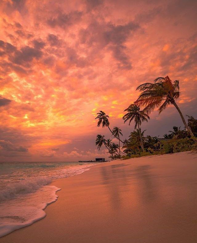 aestheticspost_'s tweet photo. Sunset https://t.co/kvCgobtTSt