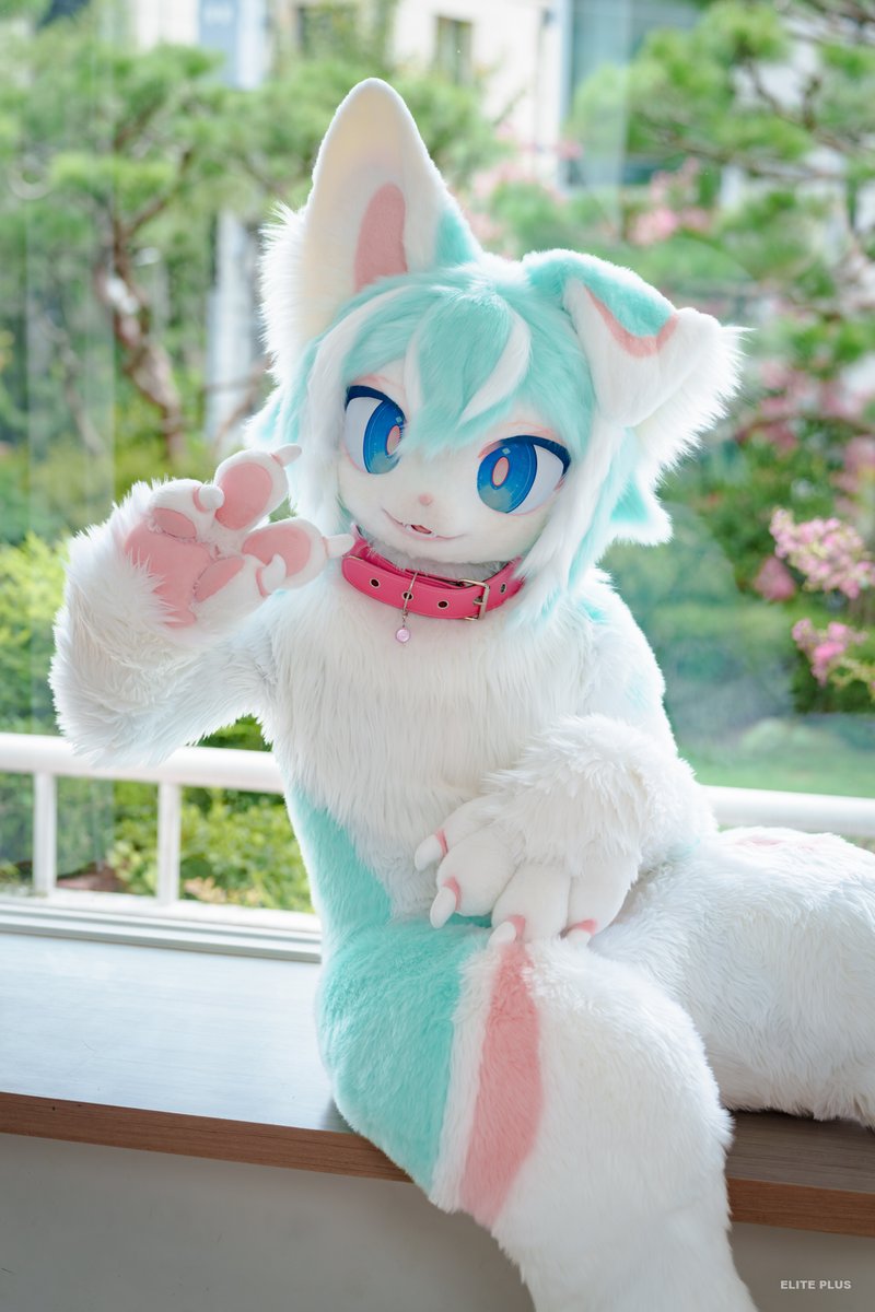 ROMOON_fursuit's tweet photo. ✌️
📸@ELPL_Fur

#FursuitFriday
#LikeaPalette #ROWOON_mintmoon https://t.co/vU8O0Bes8O