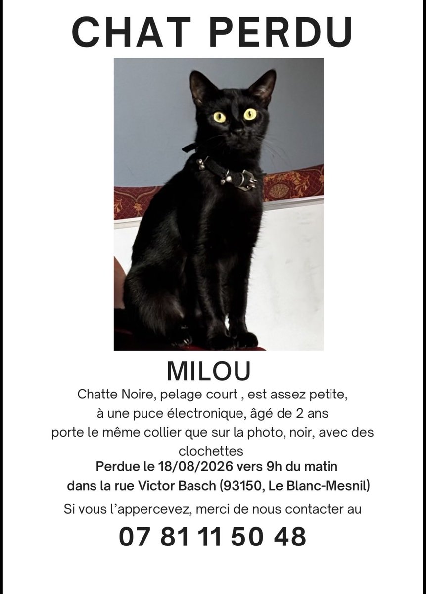 Akno_3D2Y's tweet photo. Si quelqu’un l’aperçoit svp, elle est vraiment pas très grande https://t.co/hBFeLeGzGJ
