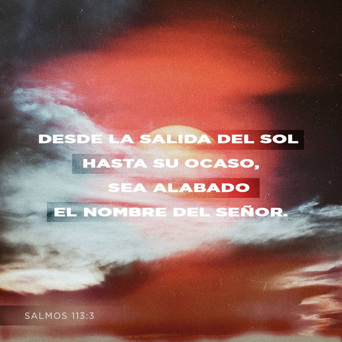 EmigdioAvila1's tweet photo. https://t.co/RZHj33reRV https://t.co/9mox6ZSE62