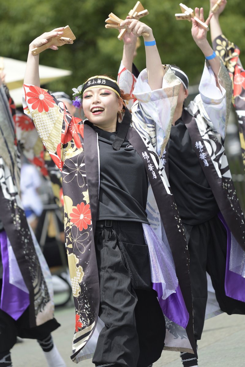 YD3200's tweet photo. 想ふ華月

2026年07月19日
ライオンズよさこい2026
素敵な演舞ありがとうございます✨

#想ふ華月 #ライオンズよさこい #ライオンズ夏祭り #よさこい https://t.co/4P4dVOIha5