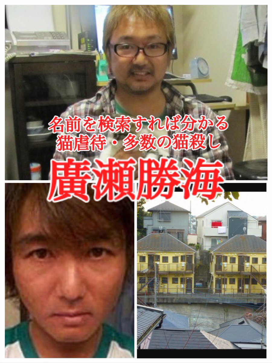BLACKsideMIKANs's tweet photo. @mama00007777 譲渡会場だけでなくSNSで里親募集の声掛けをしてるポストにも動物虐待異常者の画像付き注意喚起は飛ばした方がいいんだろうな。
拾った画像をまとめたので注意喚起に是非とも使ってください。 https://t.co/vqDrSlGziI
