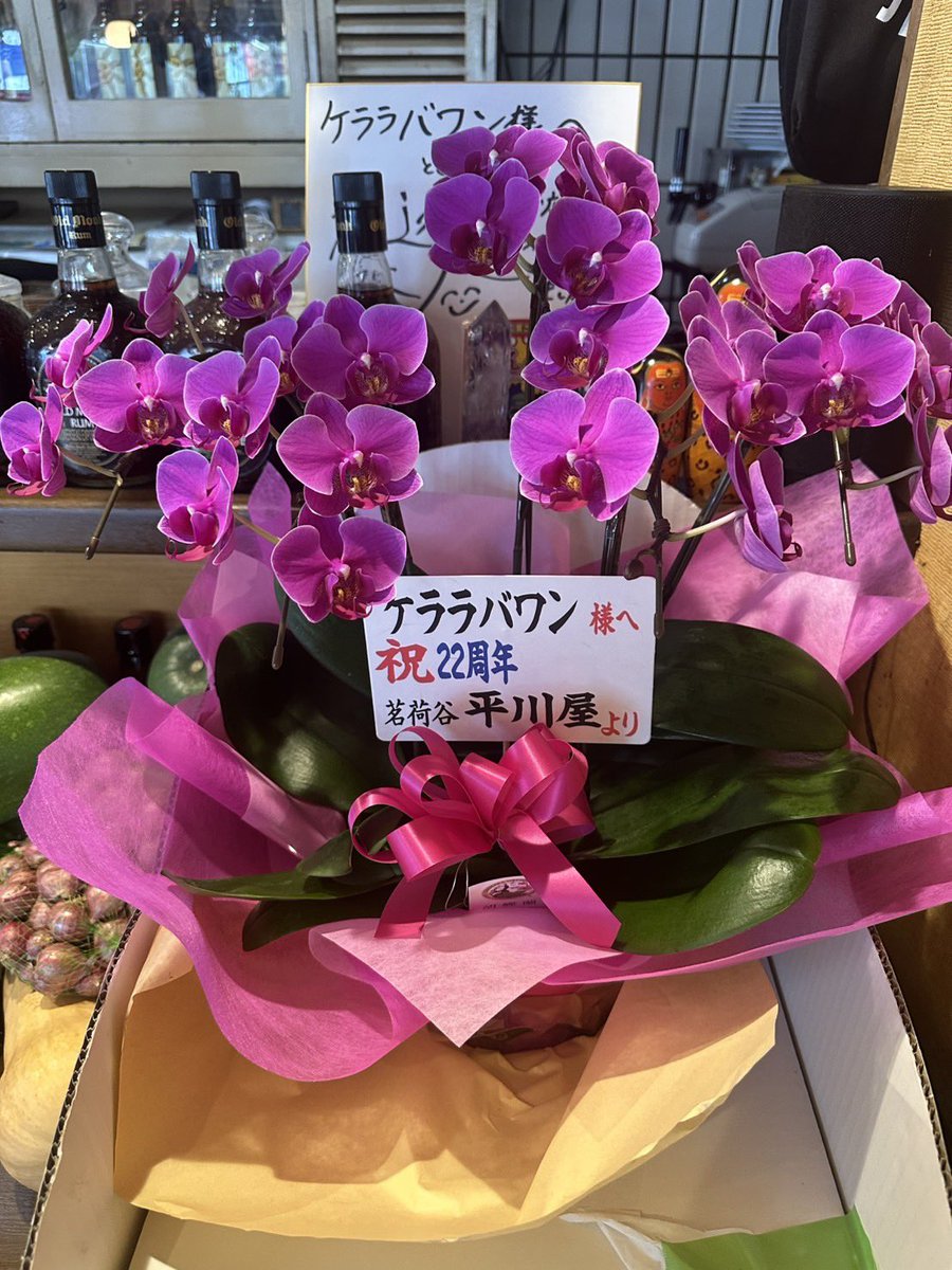 RinkoWaters's tweet photo. なんと今日はお店の開店22周年記念日であった!私もサッシーも⋯忘れてたに近い。インド時代からの友達が朝一番にお店に来てくれたりお店によく来てくださるサッシーの友達がメロン持ってきてくれたり仕入れでいつもお世話になってる平川屋さんが胡蝶蘭持ってきてくれて気がついた!22年前の今日だ! https://t.co/gSM1yn6fT5