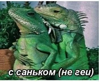 vsho67's tweet photo. @nazarich33rusru хорошо да https://t.co/xi79asmuMX