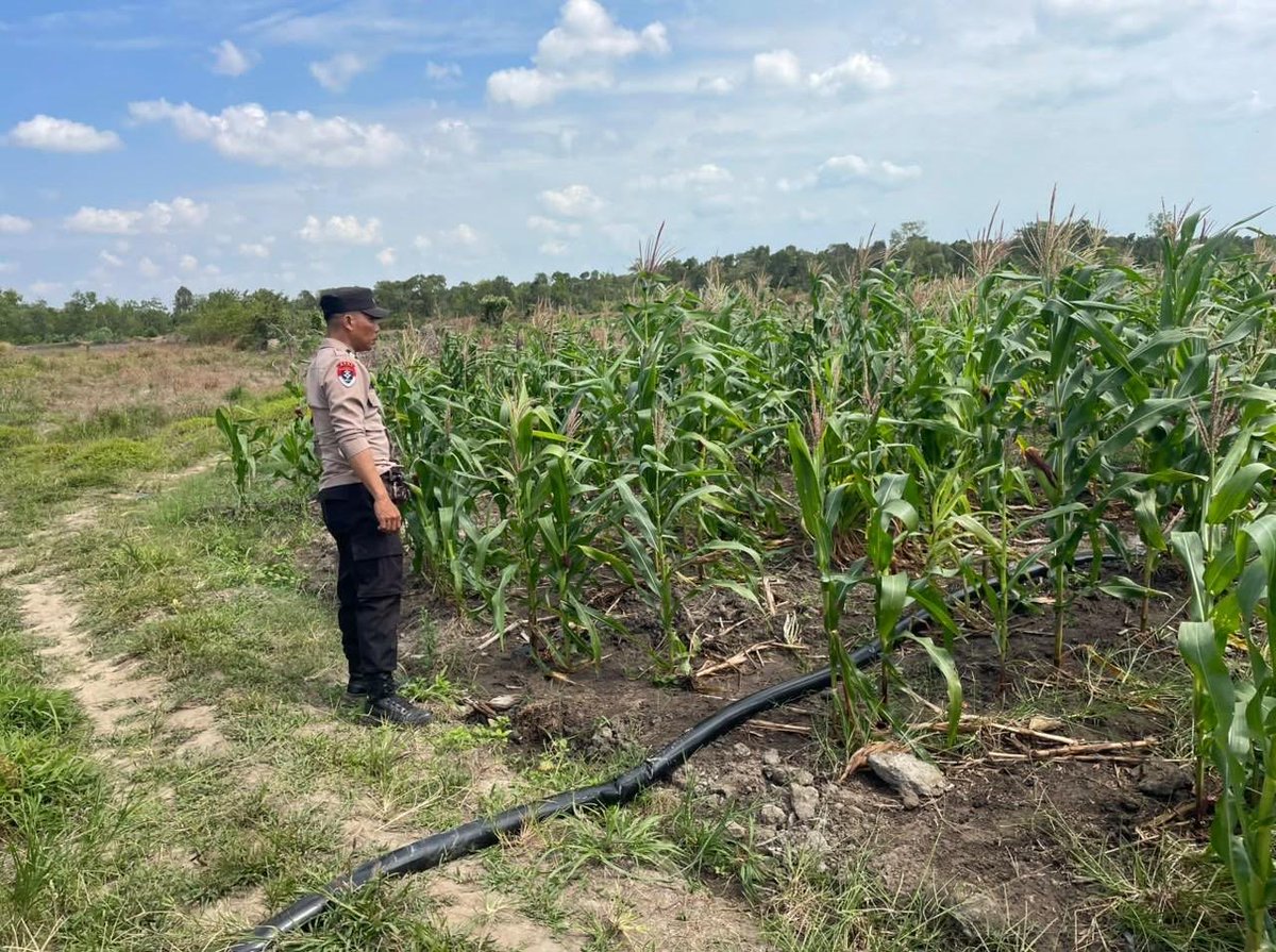 Avatar12411158's tweet photo. https://t.co/tloMXlk0Ur