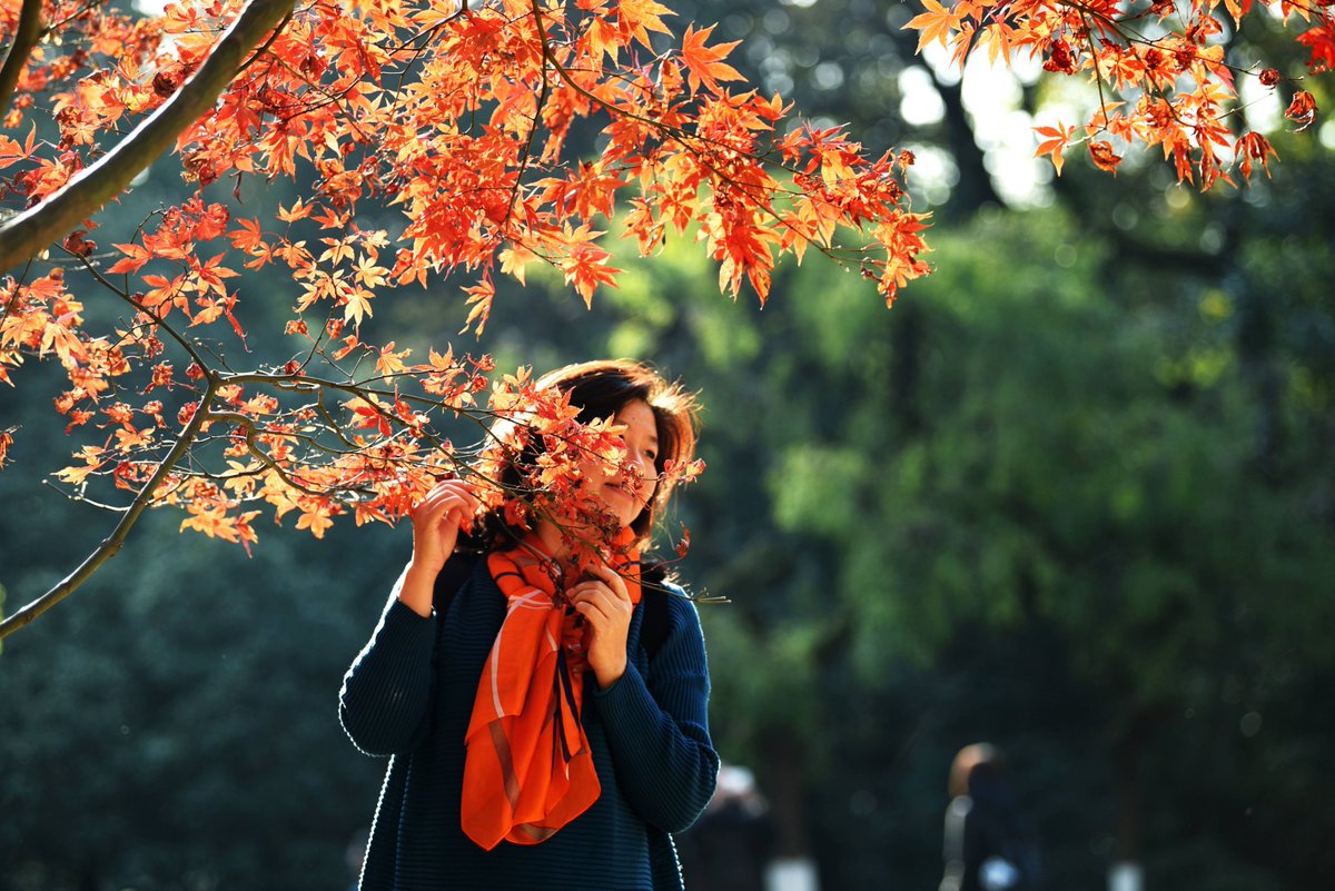 MilaaAndi's tweet photo. A crisp autumn breeze carries the scent of fallen maple leaves — perfect for a walk with a warm latte in hand.， https://t.co/RtY2eGRkZC