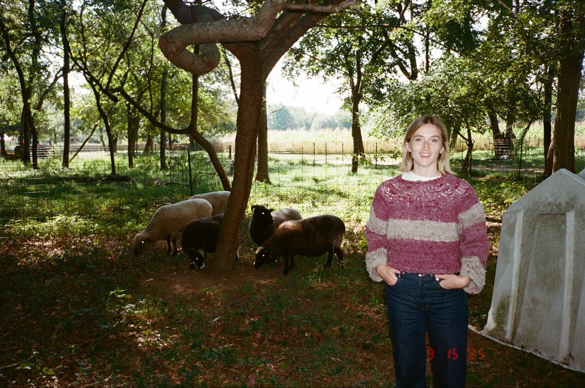 macyagilliam's tweet photo. I spent 4 months and $2000 making myself a sweater from scratch, starting with shearing a sheep 🧵 https://t.co/Oy51Sa8rNg