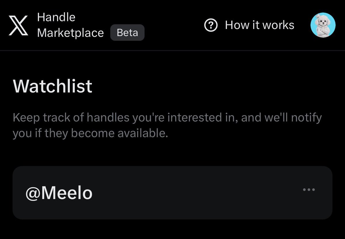 meelothepup's tweet photo. What are the chances I actually get the handle @meelo? 

please come back for 30 seconds and hand me the @ https://t.co/UjDFum8uQS