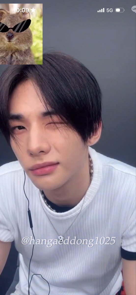 Iinogatinhos's tweet photo. they are flirting https://t.co/HWF5n563eF