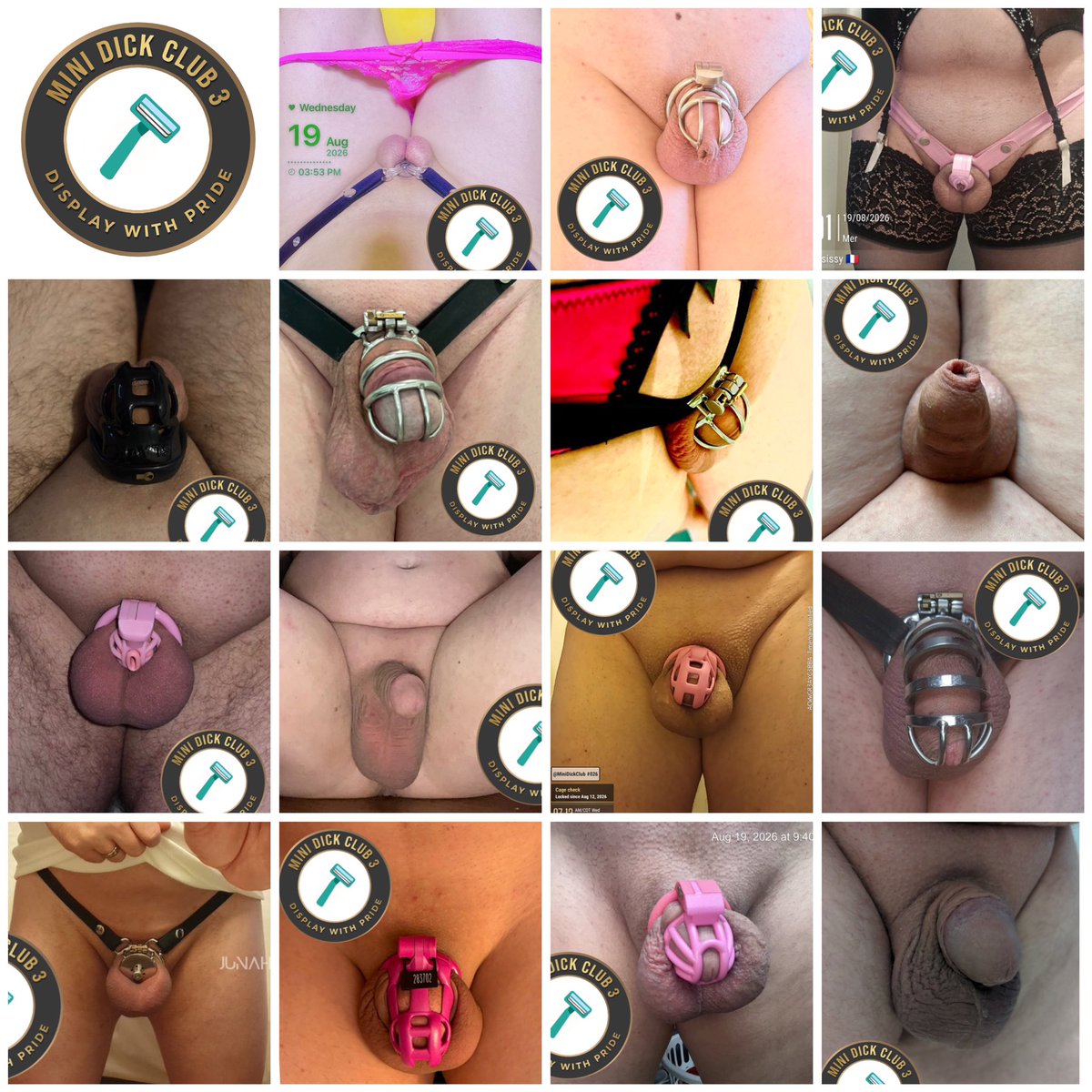 MiniDickClub's tweet photo. What a wonderful first award thread, with 29 achieving brand new Hairless Awards. It totally confirms we were right to do a restart with a small number of trusted subs:
✅ 100% good manners
✅ No botched applications
✅ High standard of grooming
✅ 83% participation rate
😍⭐️🙌💫 https://t.co/5ncjAt3sYw