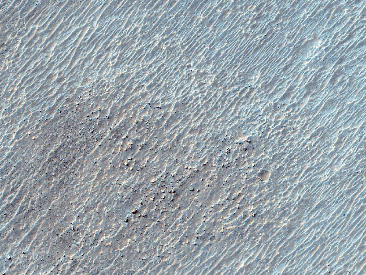 HiRISELatin's tweet photo. HiPOD: Possibilis terra plena olivini inter septentrionalem et solis occasum spectans ex Argyre Planitia

numerus: ESP_032311_1390
acquisitum: XVIII Junii MMXIII
distantia a solo: 254 chiliometra

https://t.co/Nrwkihoy1N
NASA/JPL-Caltech/University of Arizona
#Mars #NASA #Latin https://t.co/wVyGqHgiyz