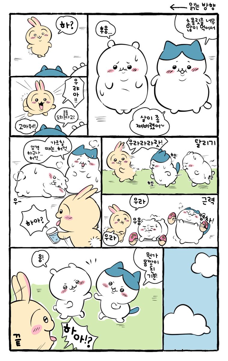 carpcarp_prac's tweet photo. 살찐 치이카아와 하치와레 https://t.co/AQeWA53QrB