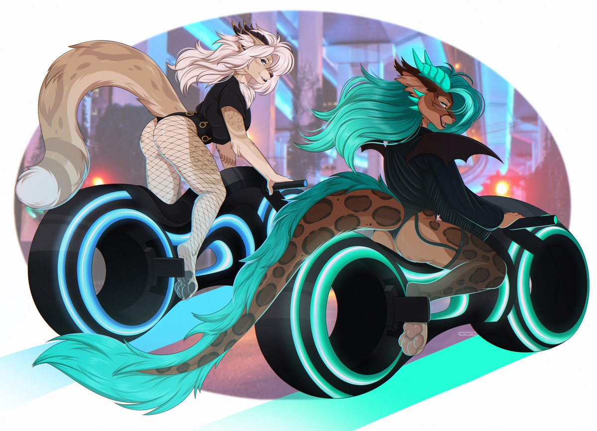 ChaiTeaKitten's tweet photo. Girls just wanna go fast! 🐱🏍️💨 https://t.co/t8azDJr8DP