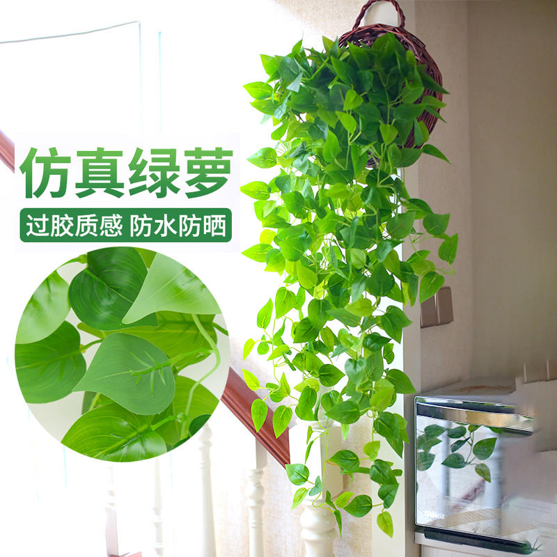 dnsengupta's tweet photo. Just finished my first DIY macramé plant hanger! No fancy tools, just some cotton rope and a quick YouTube tutorial. My pothos is now hanging proudly by the window https://t.co/QtmZeo6Xoi