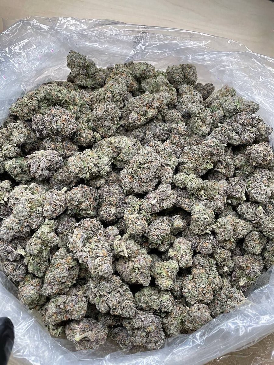 LJ_907's tweet photo. Hmu if u need smoke all fire on deck💨💨💨
#dallas #dallasplug #dallasweed #dallascontent #plug #dfw #arlington https://t.co/4sRw48gGXD