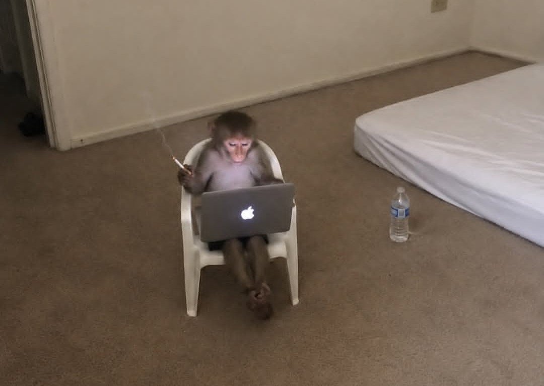 DameEclair's tweet photo. me giving a like n comment to celebrity post knowing they won't reply but they'll know I exist smh: https://t.co/S4H0EzolU8