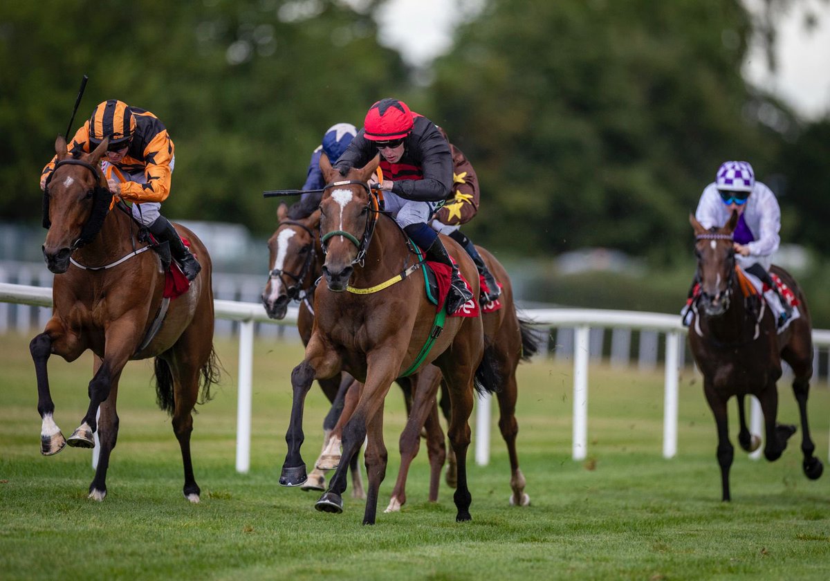 LeopardstownRC's tweet photo. Ben Hur goes to the front in the Money Back Daily Specials with https://t.co/LmpBo7iG0h Handicap! 🏇💥

A winning ride from Adam Caffrey for trainer Noel Meade and owner Philly Polly. 👏 https://t.co/6QoIENyBZP