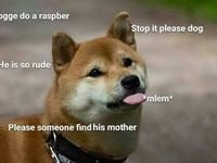 Mlem_pumpfun's tweet photo. steady $MLEM its not a race

4CiLPCuACsnm11pP7SqordPyH8mtL56z2vj8pD3Zpump https://t.co/NskofWlMdq