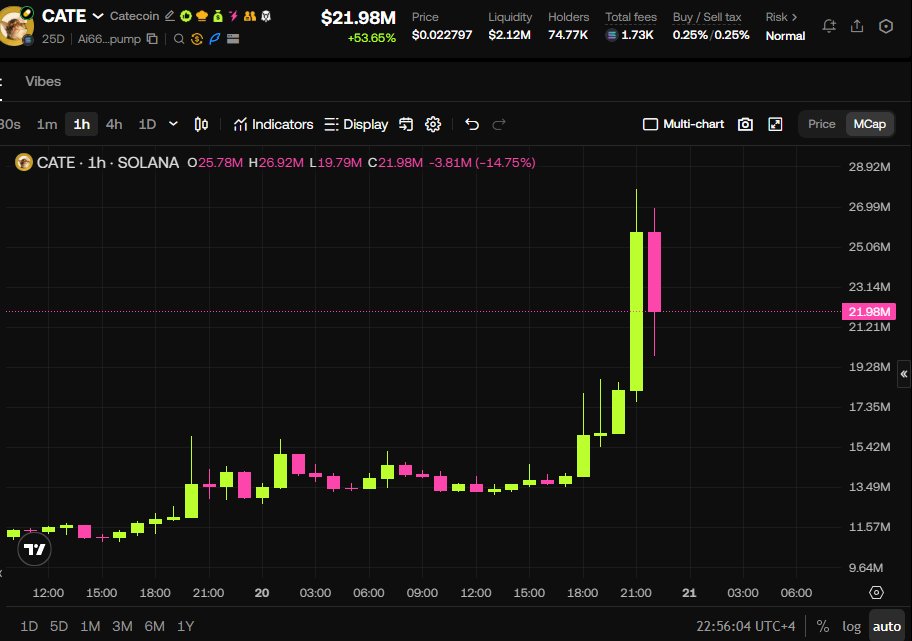 Jeremybtc's tweet photo. $CATE just 2x'd from the lows

This is a prime example of how holding and believing in something pays off

Even though i'm not in, I love what the community is doing for this space

This is one i'd like to see higher https://t.co/fQO2fUuVoR