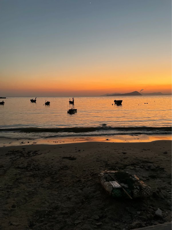 nagic14's tweet photo. Spent the morning chasing coastal sunsets and fresh oysters at a tiny hidden cove—this is the slow travel vibe I’ve been craving. No crowds, just salt air and perfect peace. https://t.co/1e7QScJqBr