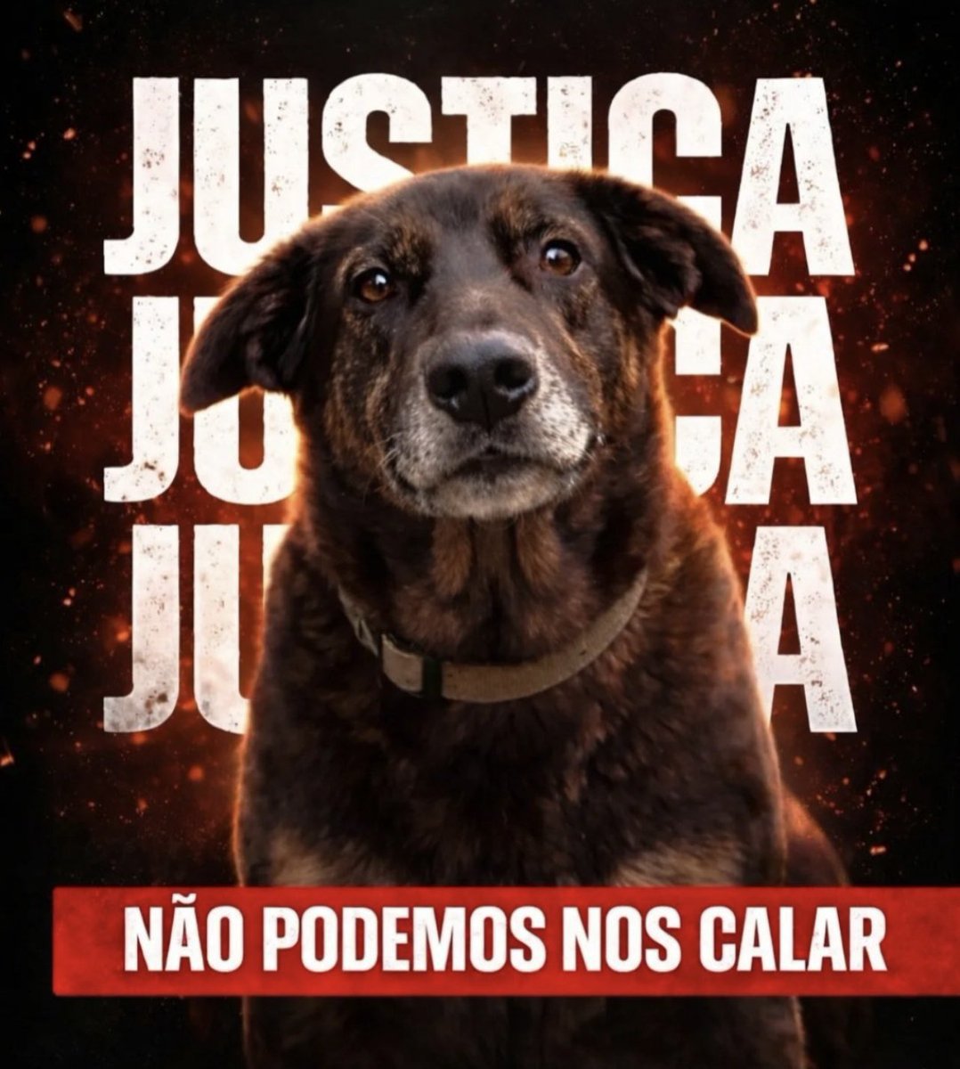 ClaudioFarias70's tweet photo. https://t.co/t2VHWjwGFj