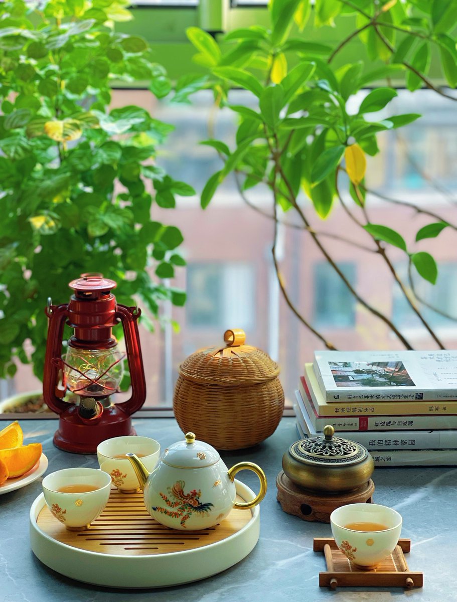 ElyasovTerlan's tweet photo. Life update: Swapped my 9-to-5 desk chaos for a balcony with succulents and homemade tea. Small shifts, big peace ， https://t.co/ioJEEvxg1R