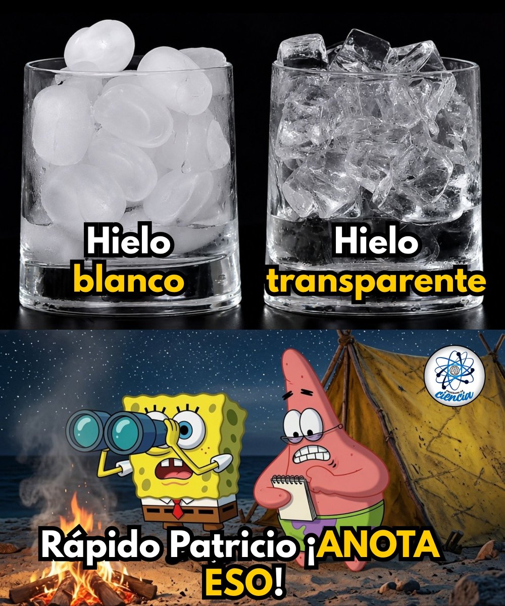 EnsedeCiencia's tweet photo. 🧊 La diferencia entre el hielo blanco y el transparente está principalmente en la forma en que se congela el agua.

Cuando el agua se congela rápidamente y desde varias direcciones, pequeñas burbujas de aire y otras sustancias pueden quedar atrapadas en su interior, haciendo que el hielo tenga una apariencia blanca o turbia.

En cambio, mediante una congelación lenta y direccional, esas burbujas son desplazadas hacia un extremo, permitiendo obtener un hielo mucho más transparente.

Por eso, que un hielo sea transparente no significa necesariamente que provenga de agua más pura; el proceso de congelación también determina gran parte de su apariencia. 🧊✨