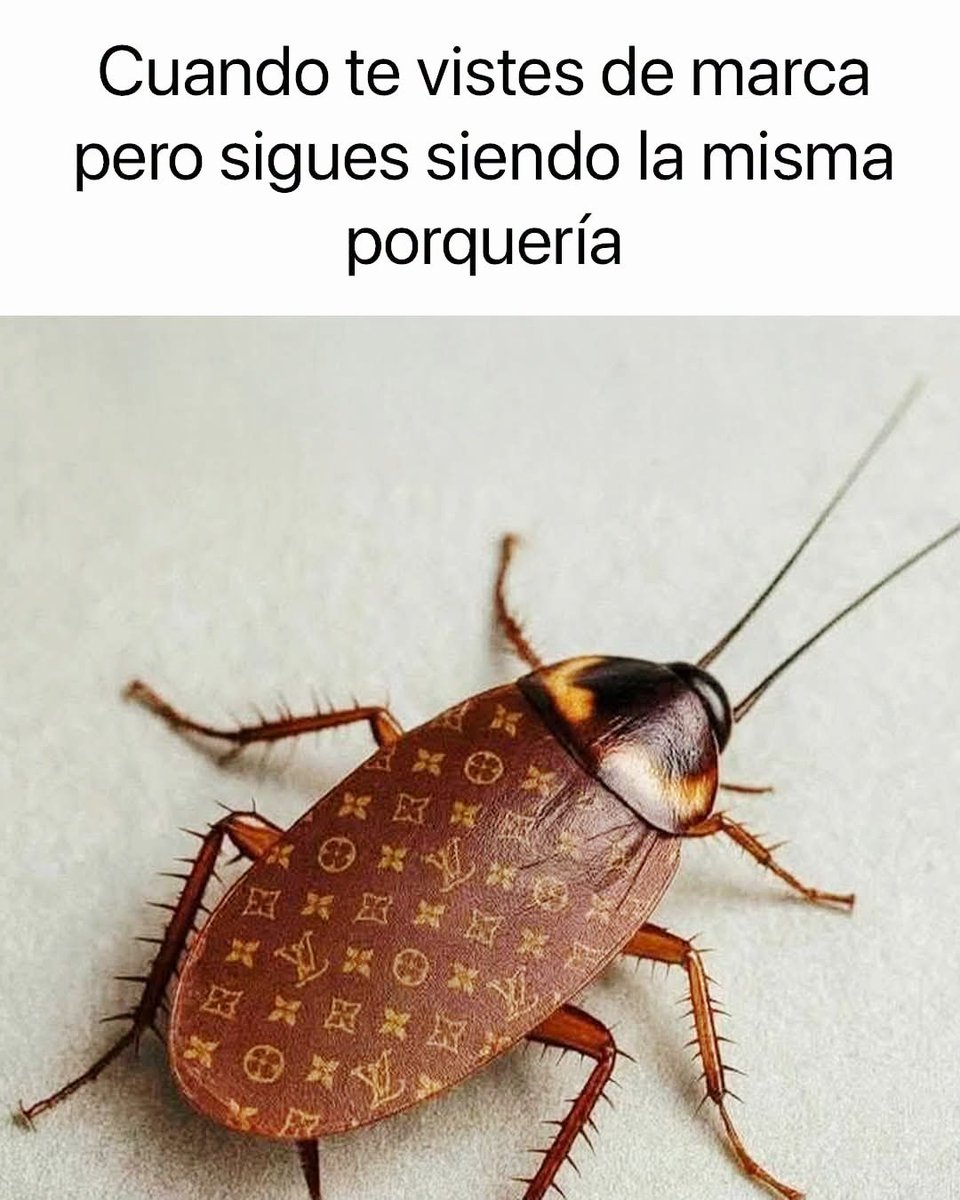 MadreSemestrosa's tweet photo. Y la queso 💅🏻😂 https://t.co/QqYAJXfFOK