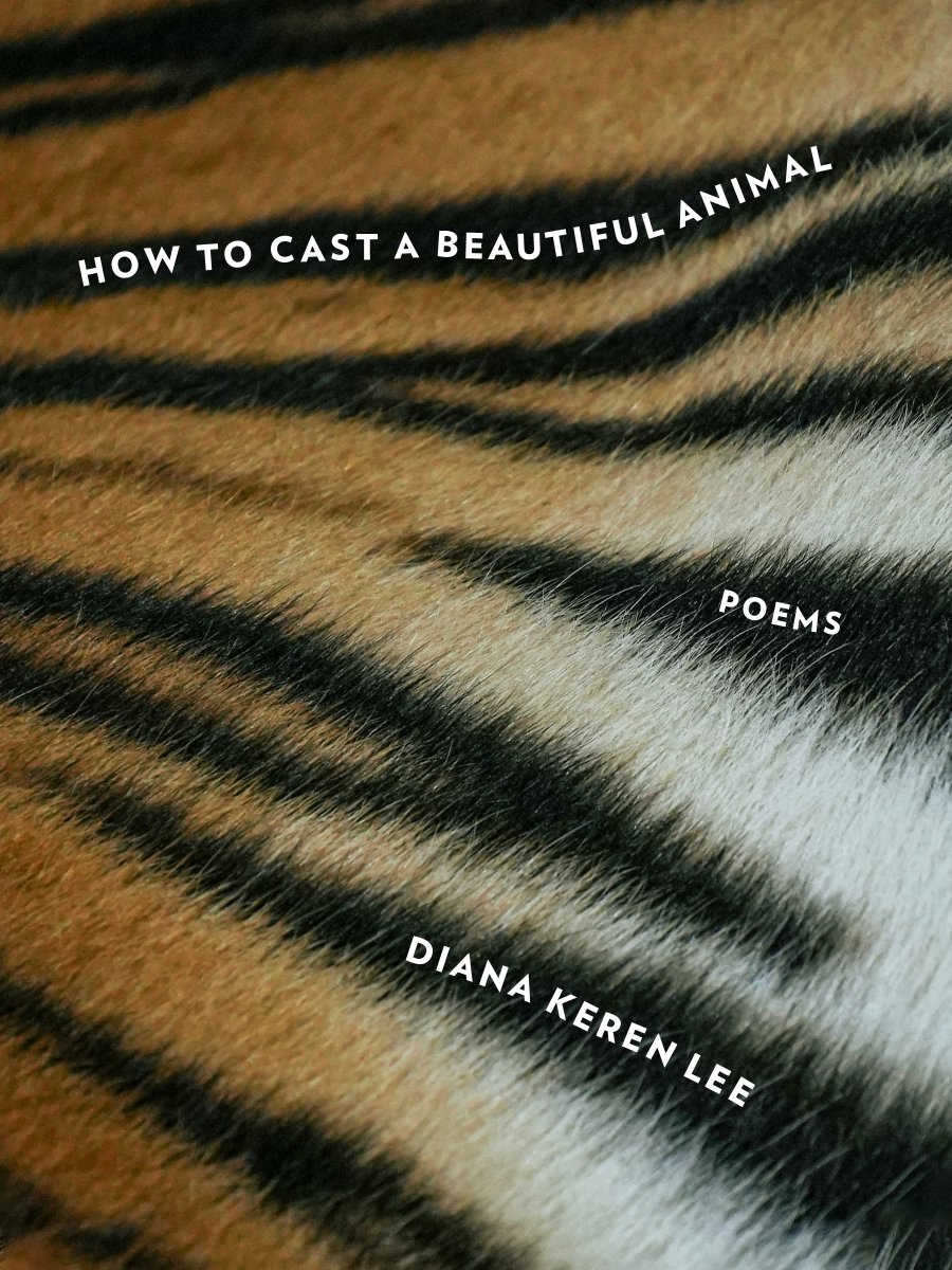 SouthernHReview's tweet photo. Congratulations to previous contributor Diana Keren Lee on her debut poetry collection HOW TO CAST A BEAUTIFUL ANIMAL, out now from @FordhamPress
Available now! https://t.co/pTBpS06S5q
#litmag #WritingCommunity #poetrycommunity #poetrycollection https://t.co/bgzcKJ2ust