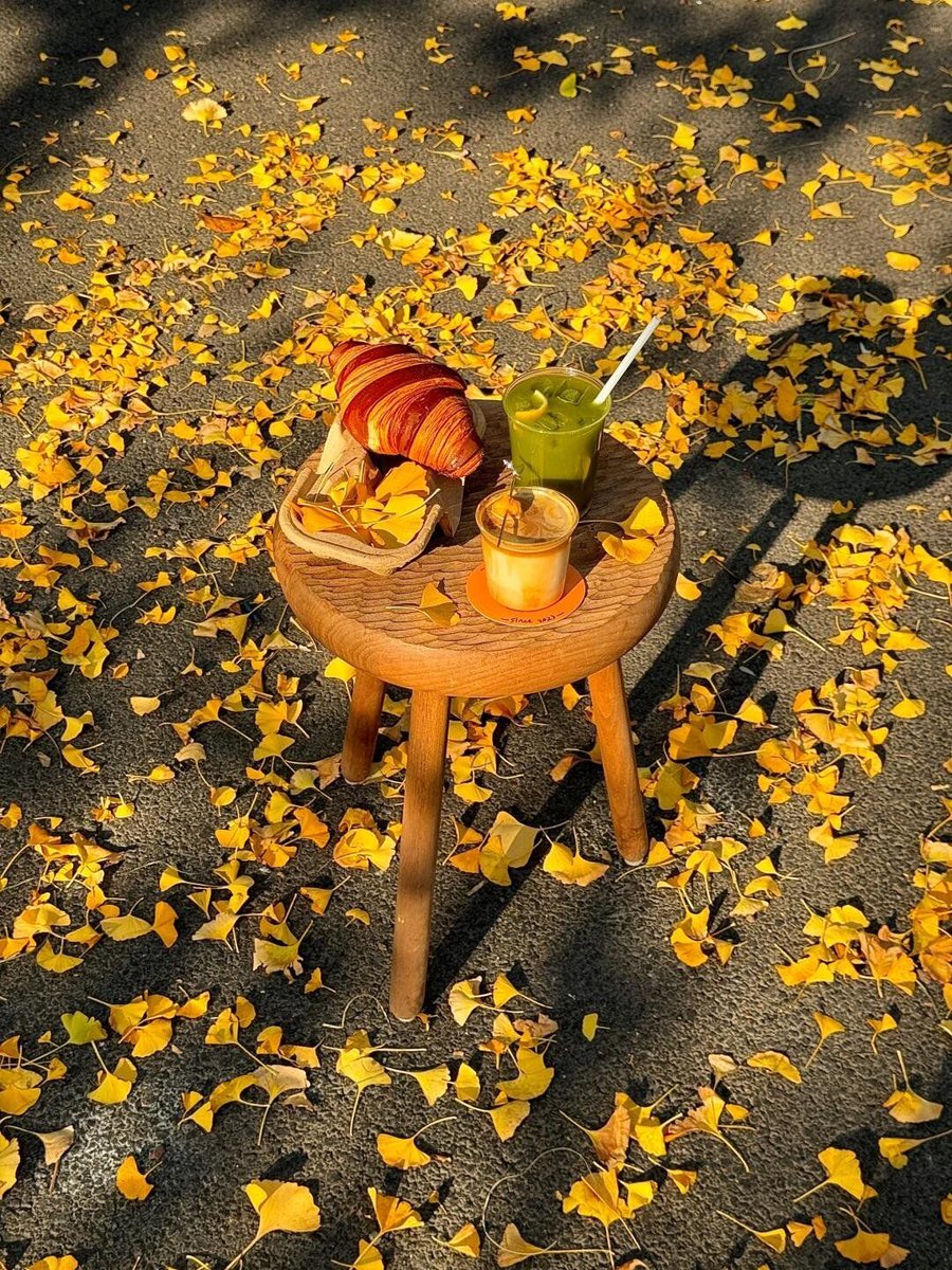Ssivanantham2's tweet photo. Fall is here! Crisp air, golden leaves, and that cozy pumpkin spice latte smell filling the streets https://t.co/6ktboUv9OI