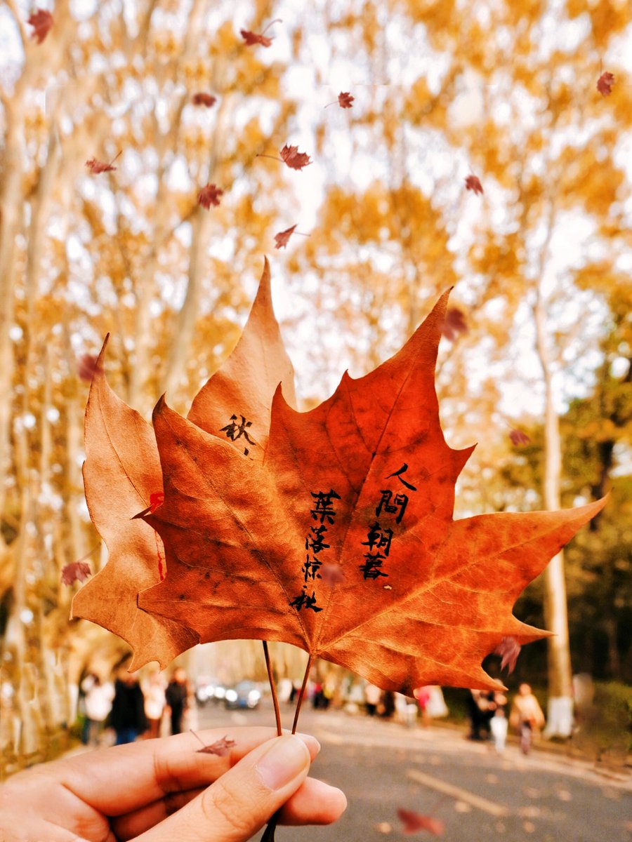 GerilynPark's tweet photo. Chilly autumn breeze + warm coffee = perfect afternoon https://t.co/BV4mhY1PPS