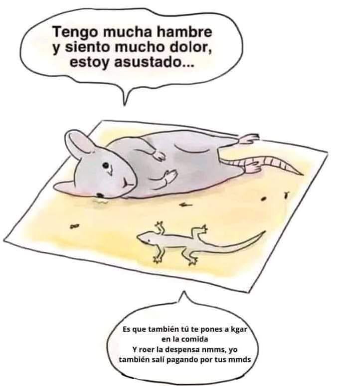 JorgeB1979's tweet photo. Jajaja 🤭 https://t.co/QZDTnJvleD