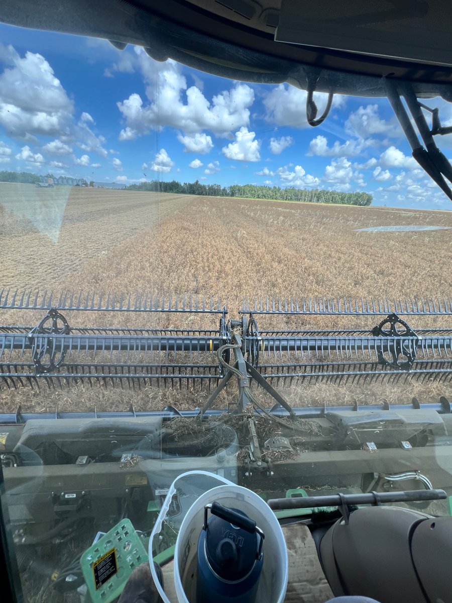 ObsidianDanger's tweet photo. Started peas. Training the new hired hand. https://t.co/r2D6TJm593