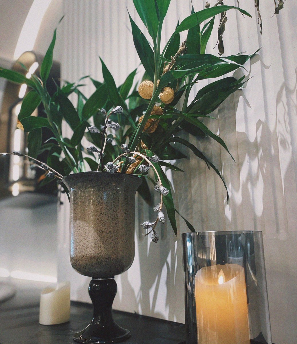 Gomen_San9's tweet photo. When the office AC is on point and my to-do list is looking way too long… guess I’ll just stare at this plant for 10 more mins. https://t.co/WnKjywptxR